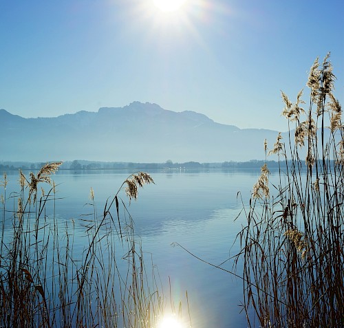 Panorama des Chiemsees